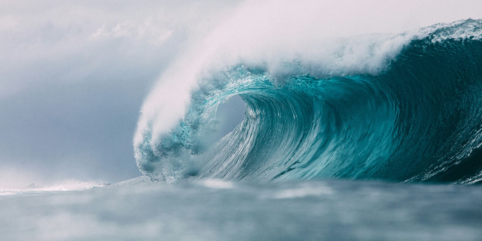 An empty wave throwing a barrel, seen from the water.